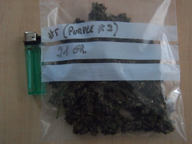 IMGP7377.JPG