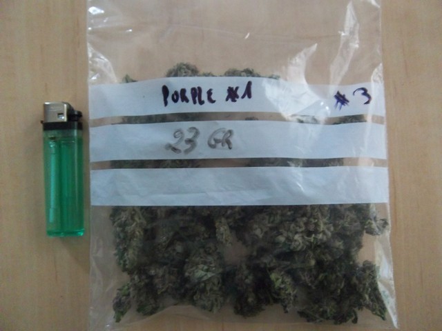 IMGP7347.JPG