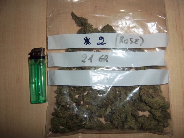 IMGP7333.JPG