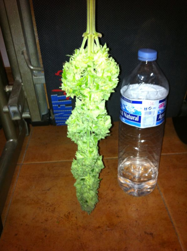 IMG-20120708-WA0015.jpg