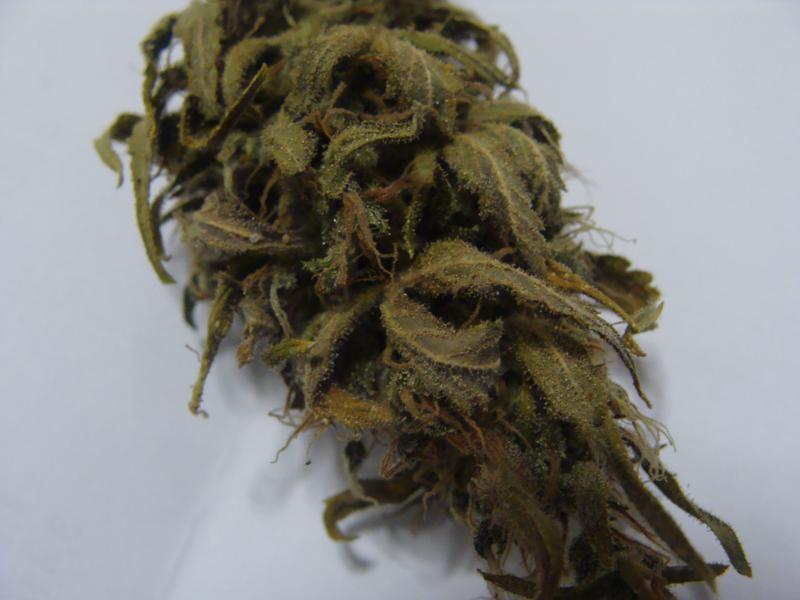 ciskei 008_800x600.jpg