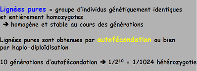 Capture lignées pures botanique.PNG