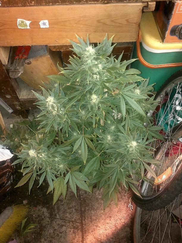 31032011303.jpg