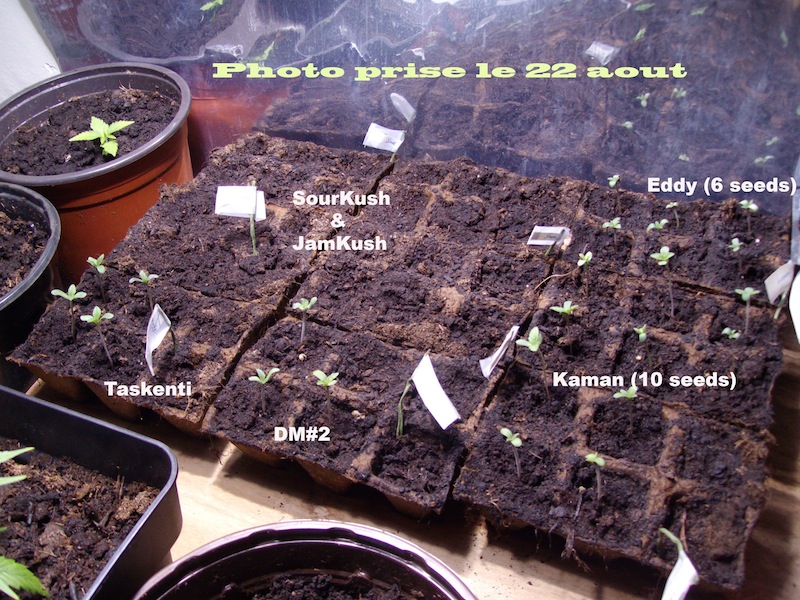 germination off .jpg