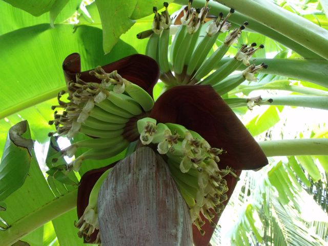 DSCF2786.jpg