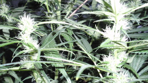 PC120028.JPG