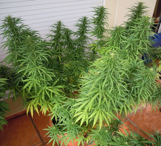 destroyer 2 20 sep.JPG
