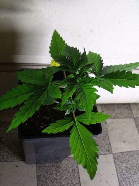 DSCF3191.jpg