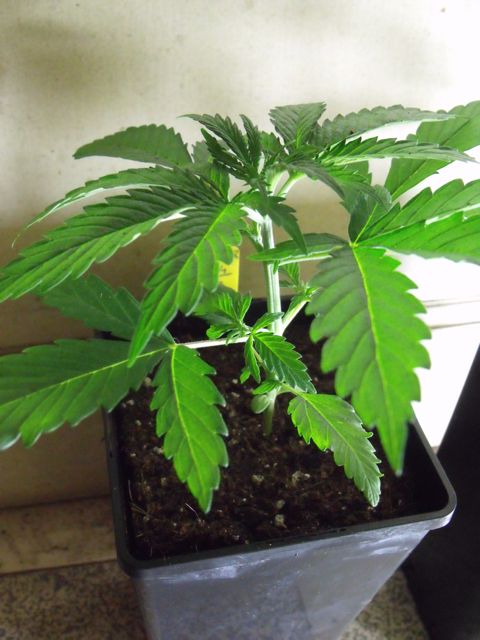 DSCF3192.jpg