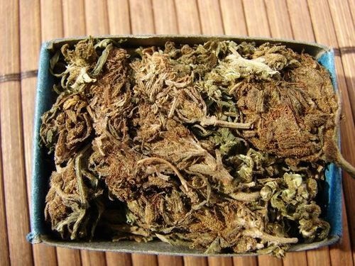 congo black flowers A.H..jpg