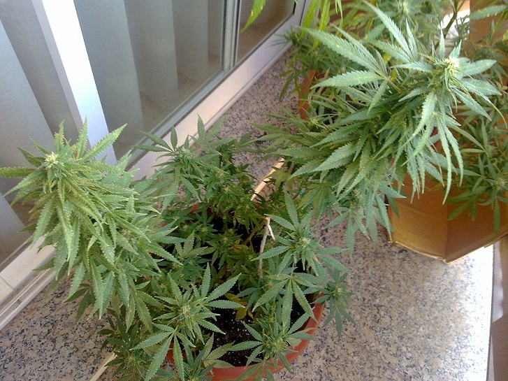 TASK 08102012.jpg