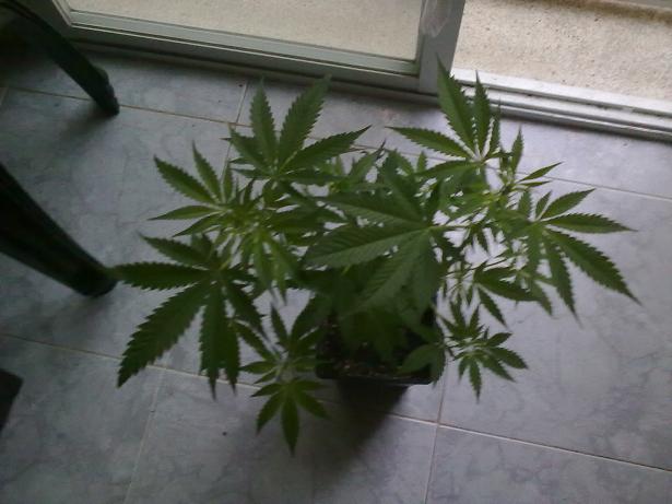 09042011207.jpg