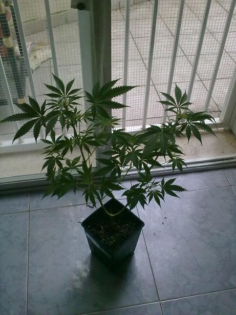 09042011212.jpg