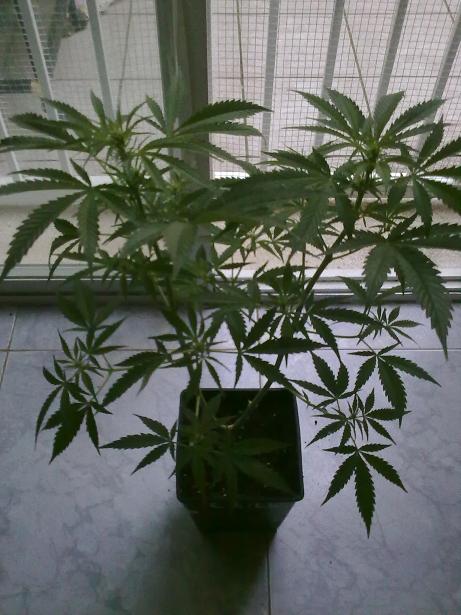 09042011218.jpg