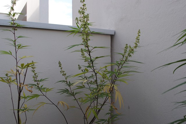 DSC_0022 (Copier).JPG