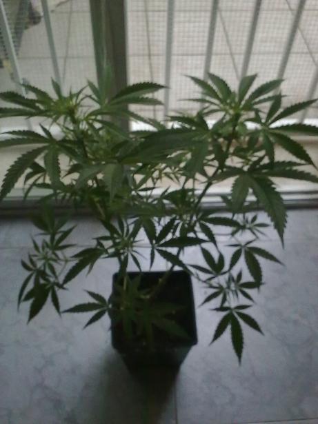09042011221.jpg