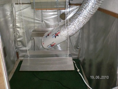 SANY0980.JPG