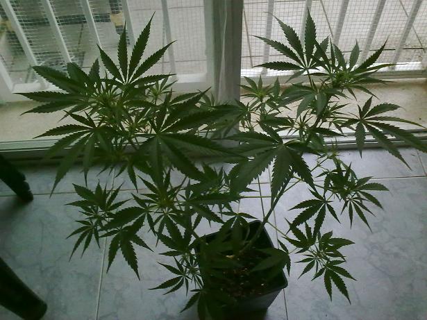 09042011223.jpg