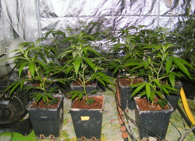 DSCF5710.JPG