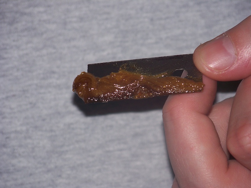 bho_pr_co.jpg