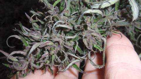 PC050011.JPG