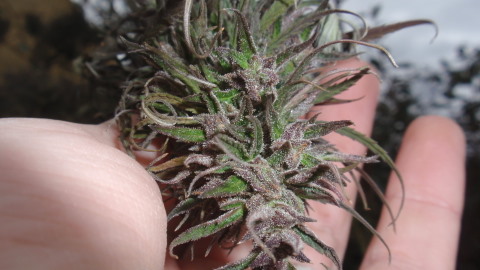 PC050012.JPG