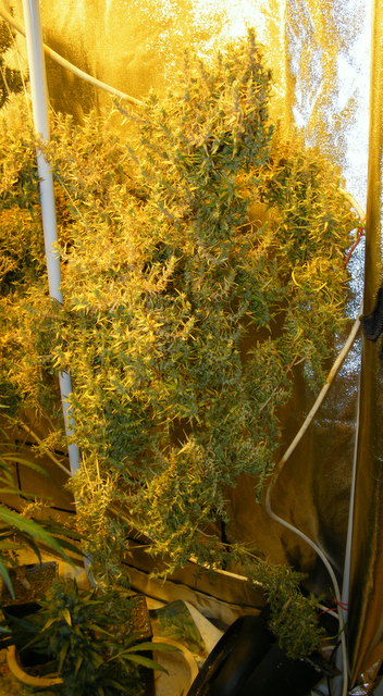 DSCF5821.JPG