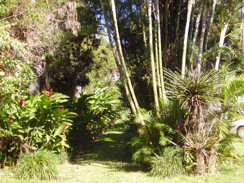 P9230052 [800x600].jpg