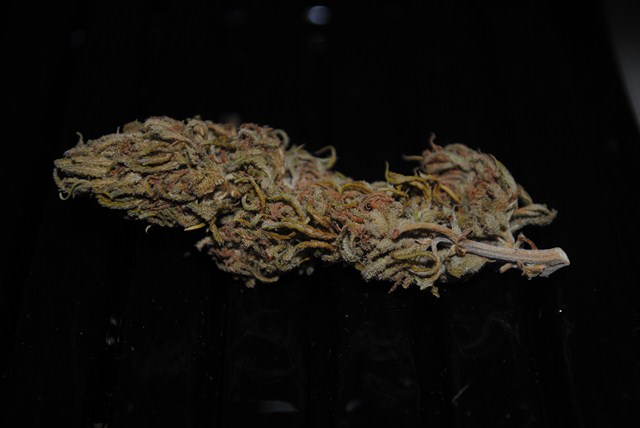 DSC_0242 (Copier).JPG