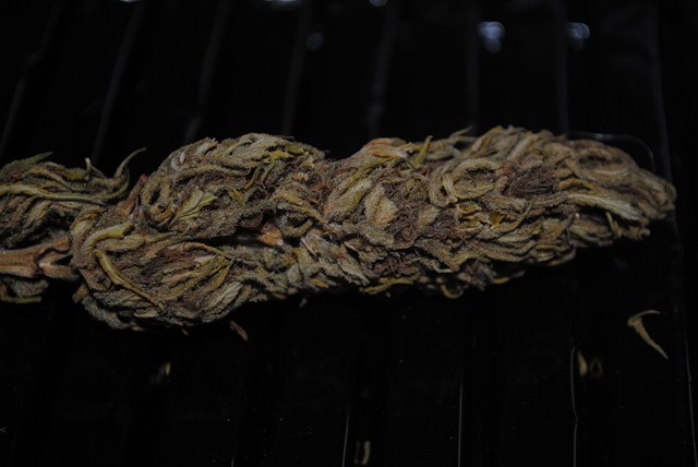 DSC_0228 (Copier).JPG