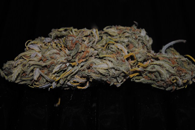 DSC_0249 (Copier).JPG