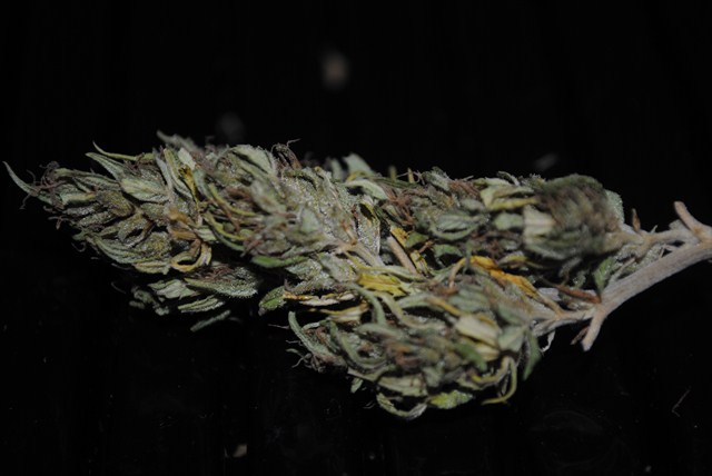 DSC_0251 (Copier).JPG