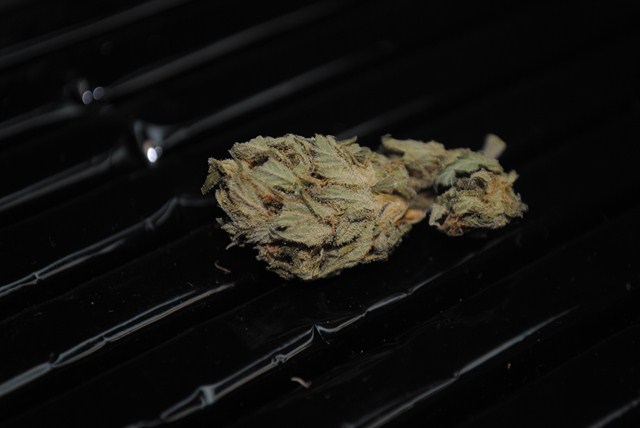 DSC_0261 (Copier).JPG