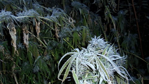 PC030002.JPG