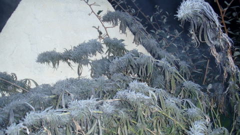 PC030003.JPG