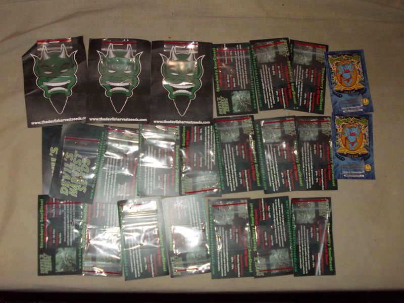 DSCN0178.JPG