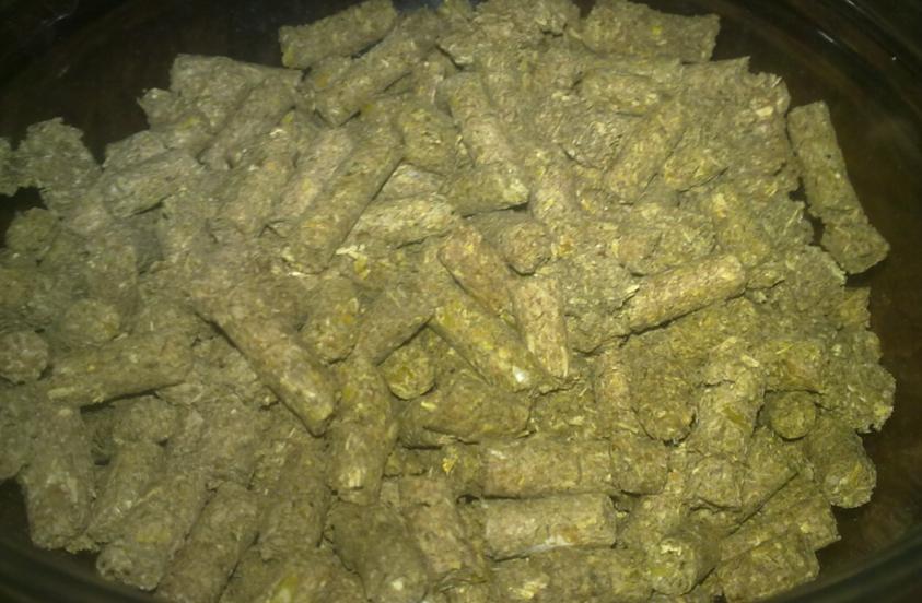 comida conejo.JPG