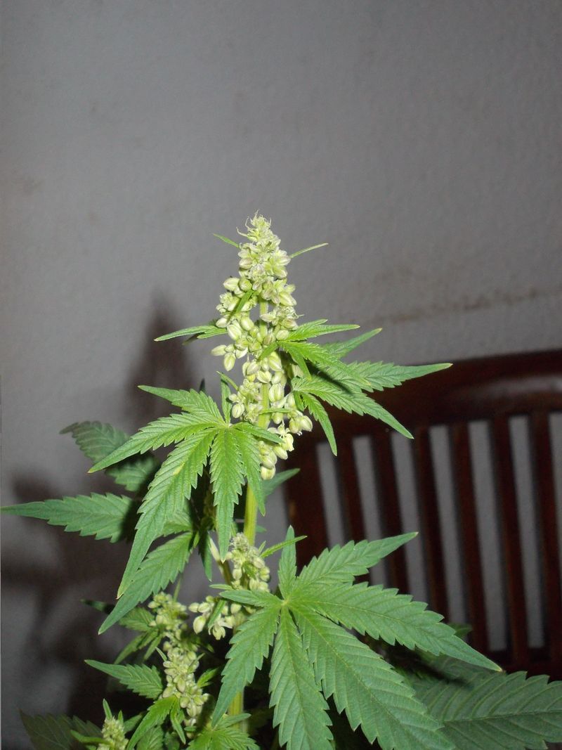 DSCN0351.JPG
