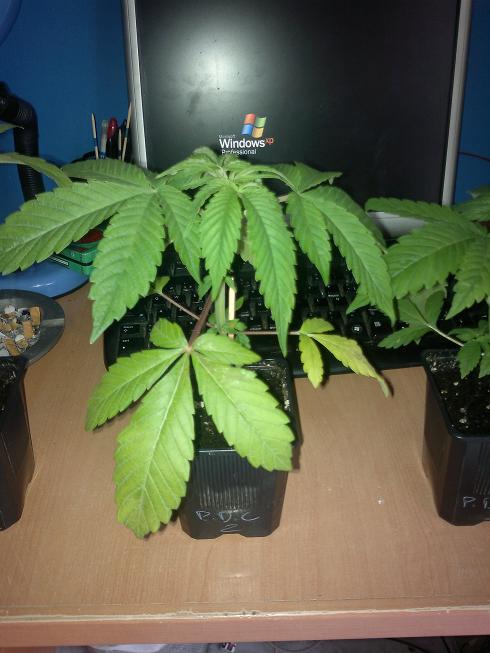 25042011432.jpg