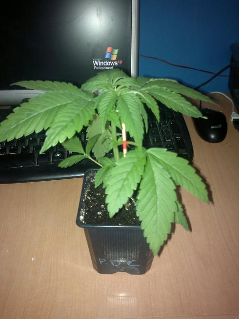 25042011433.jpg