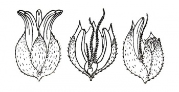 1249349158_5.jpg