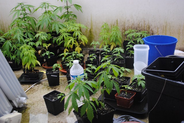 DSC_0001 (Copier).JPG