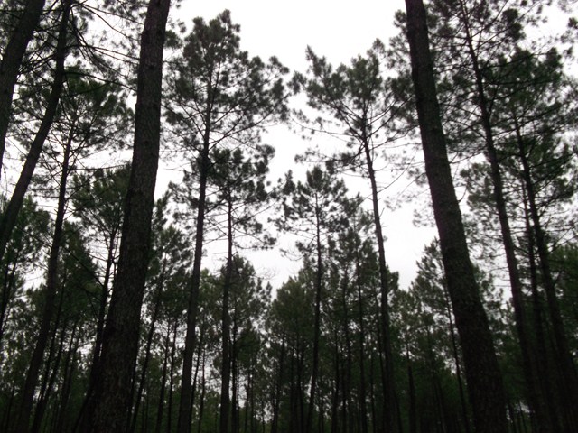 DSCF3003 (Copier).JPG