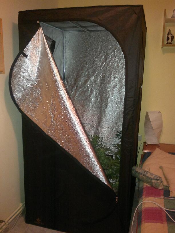 11052011456.jpg