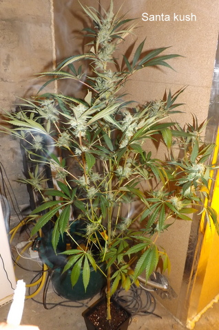 DSCF1088.jpg