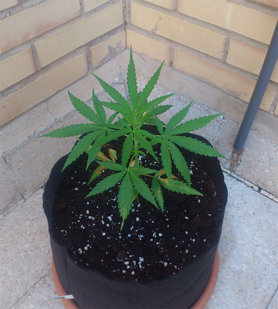 Sin título-1.jpg
