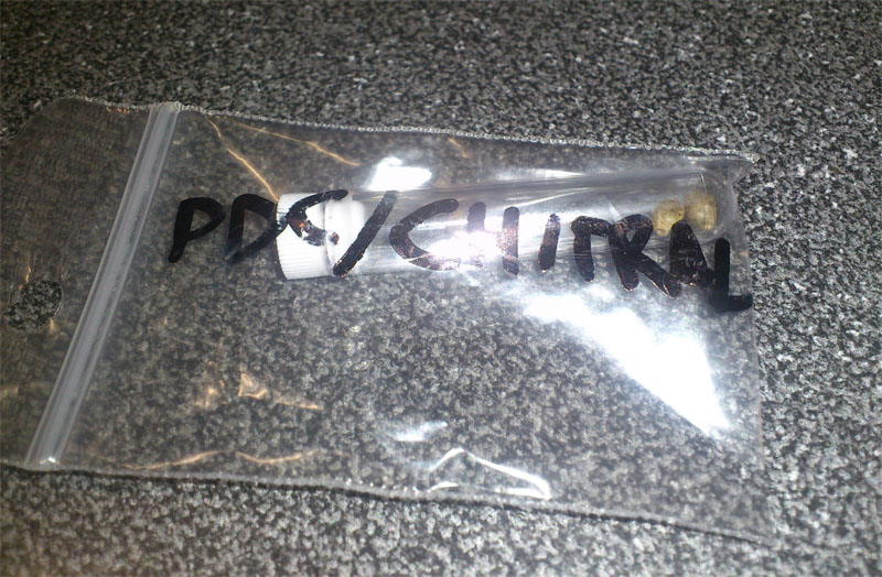pdcch.jpg