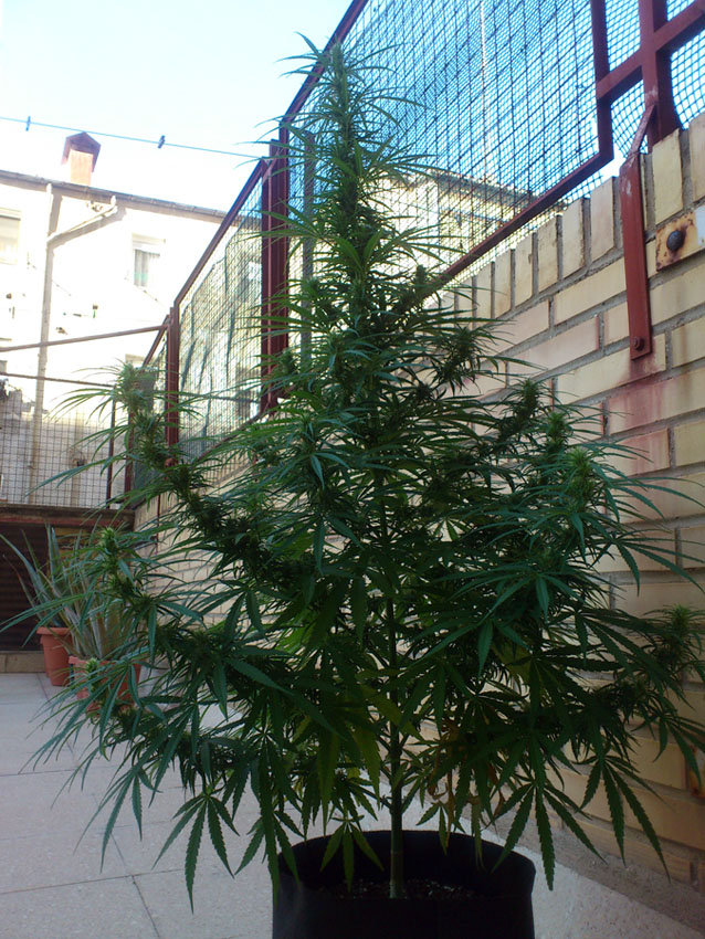 DSC_2178.jpg