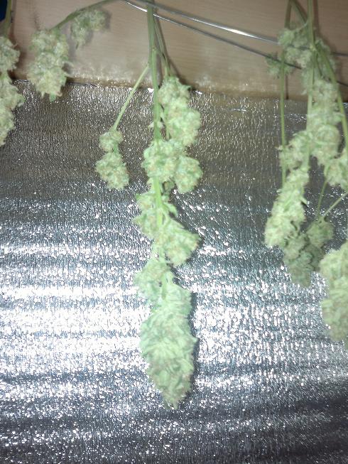 22052011019.jpg