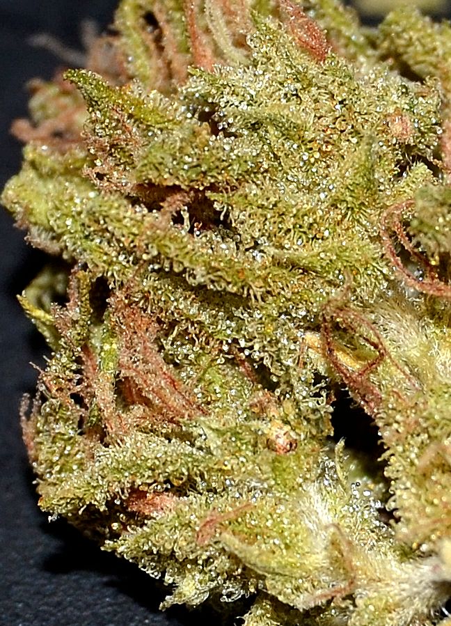 DSC_0041.JPG